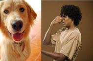 体味对比：三种气味淡雅的狗狗和三种味道浓郁的狗狗，你家的狗上榜了吗？
